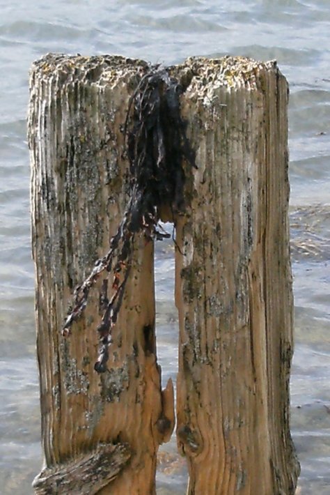 Mooring posts in the Menia straights